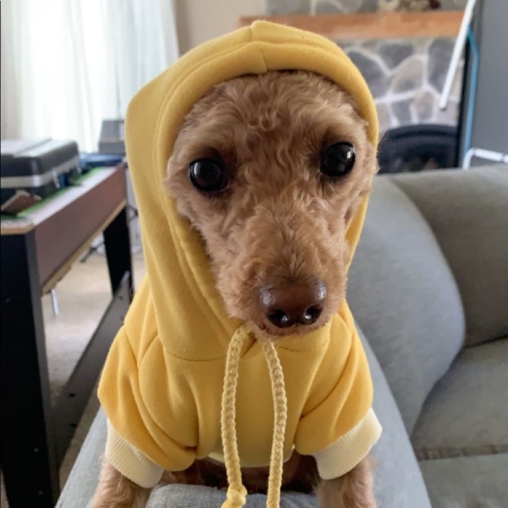 Meet your Posher, Matias